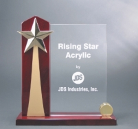 Rising Star2 Award