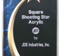 Shooting Star Blue Marble Award